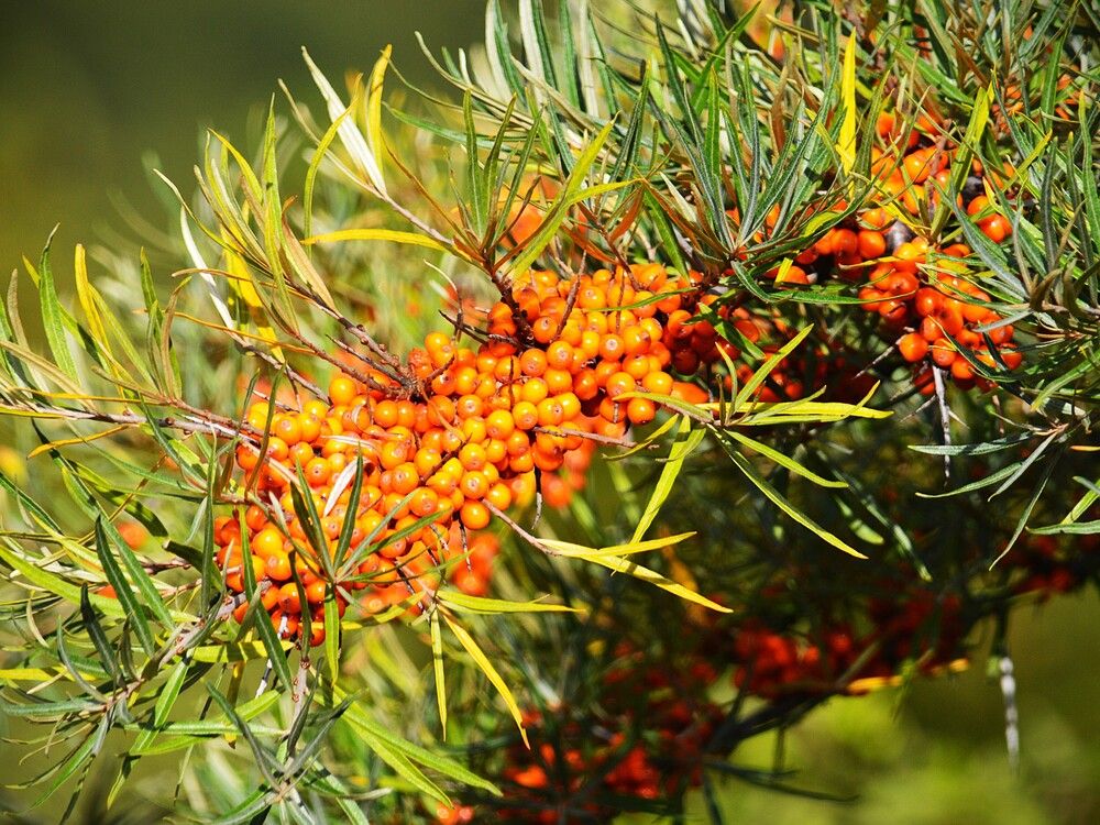 Photograph by Jozef Potocký