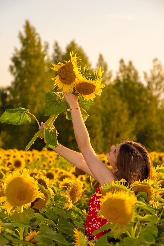 Photograph by Александр Трошин