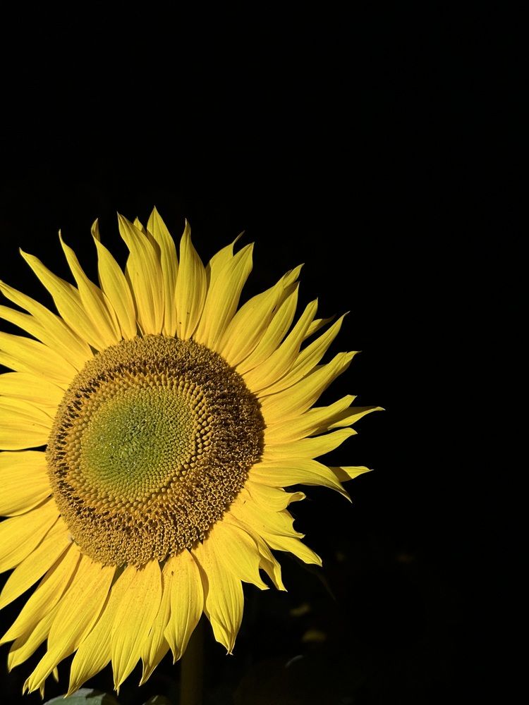 Photograph by Екатерина Балакина