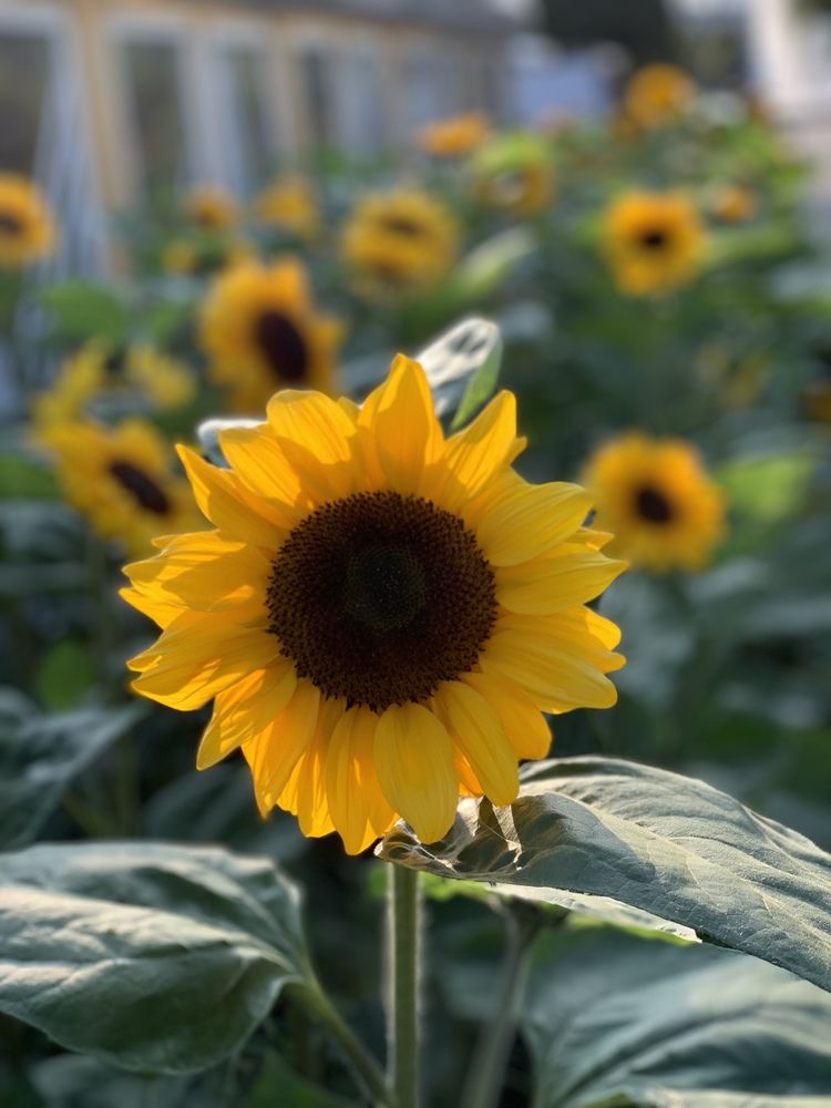 Photograph by Екатерина Балакина