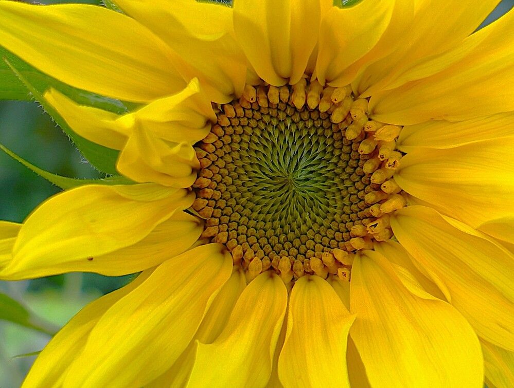 Photograph by Гагик Саркисян