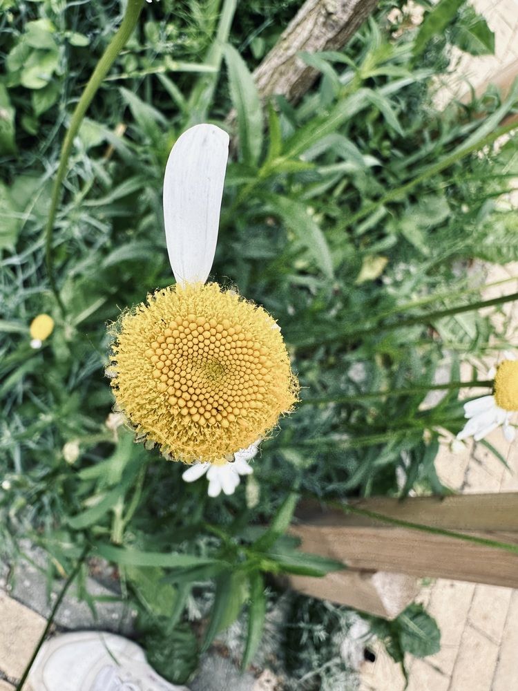 Photograph by Екатерина Балакина