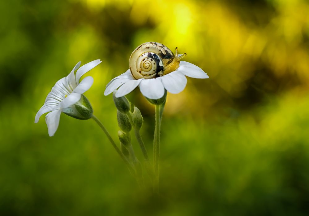 Photograph by Тараненко Анжелика