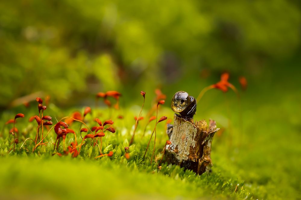 Photograph by Тараненко Анжелика