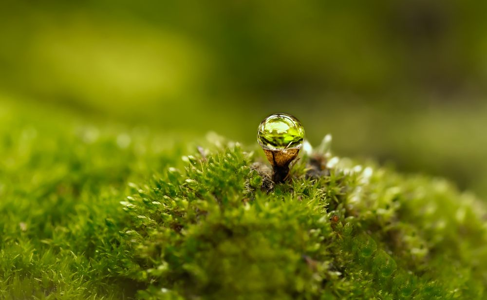 Photograph by Тараненко Анжелика