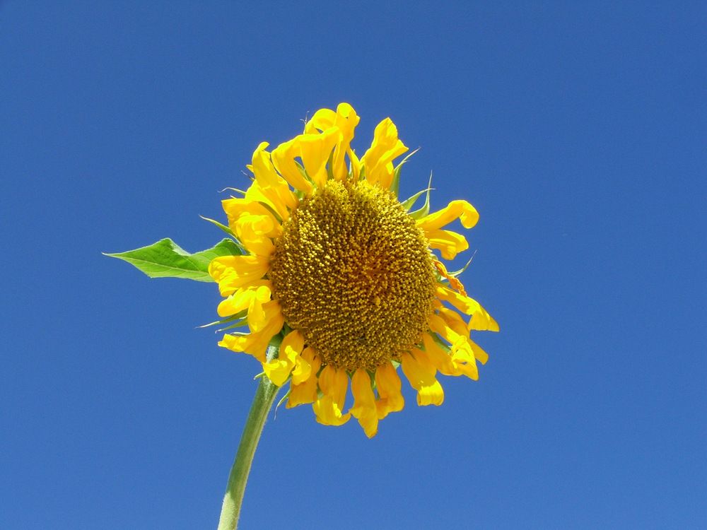 Photograph by Cengiz Yalcin