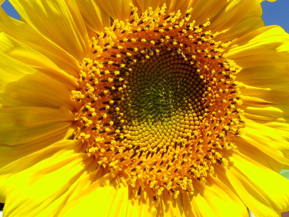 Photograph by Cengiz Yalcin