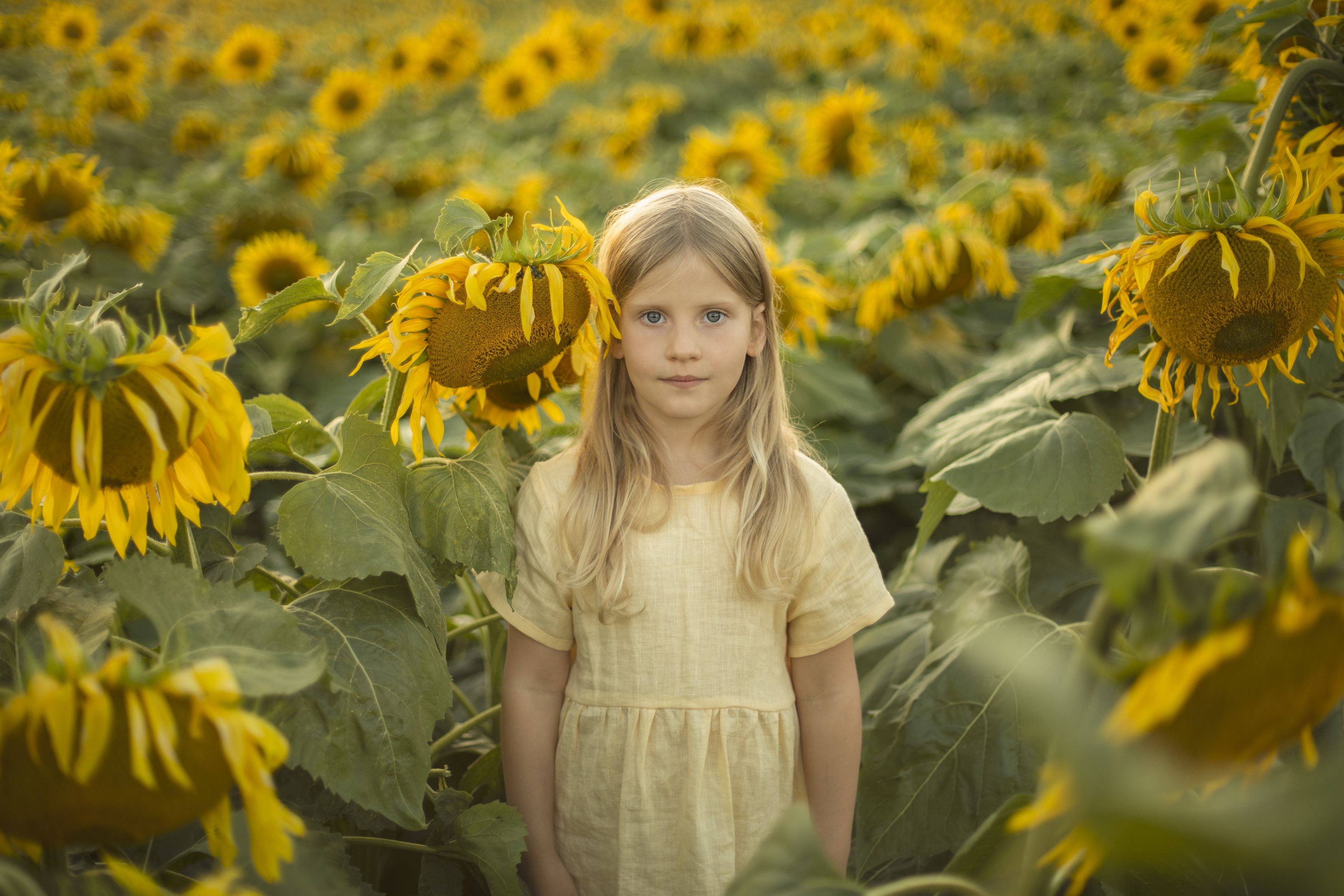 Photograph by Татьяна Дрозд