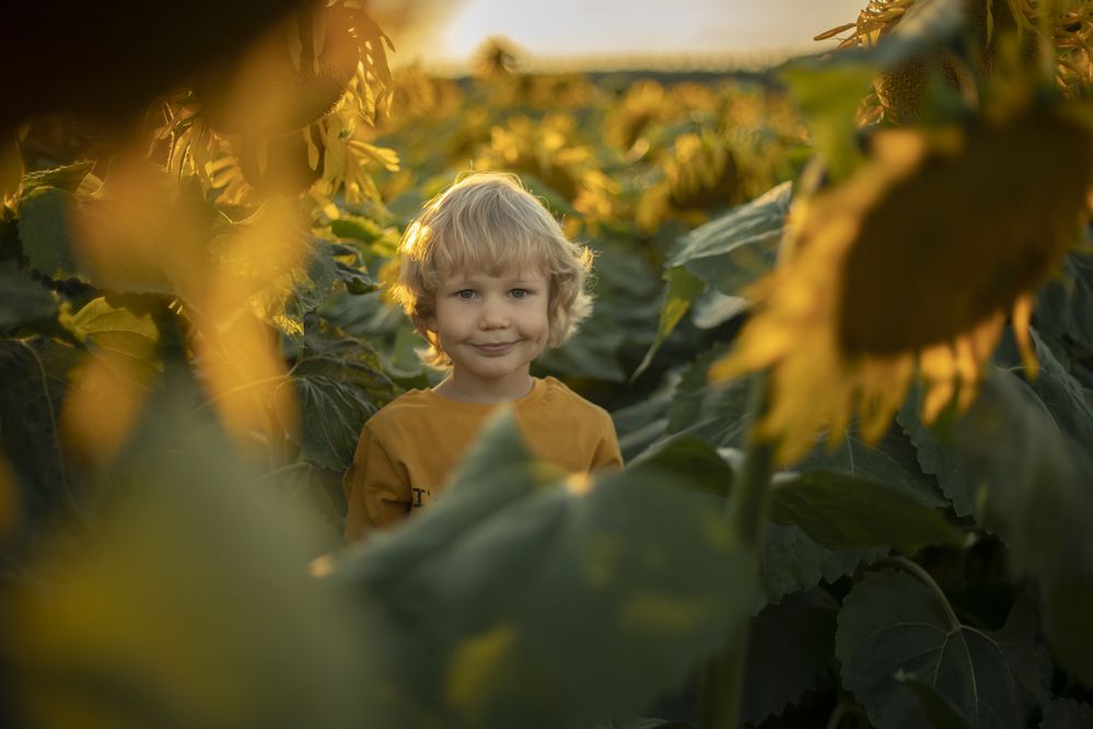 Photograph by Татьяна Дрозд