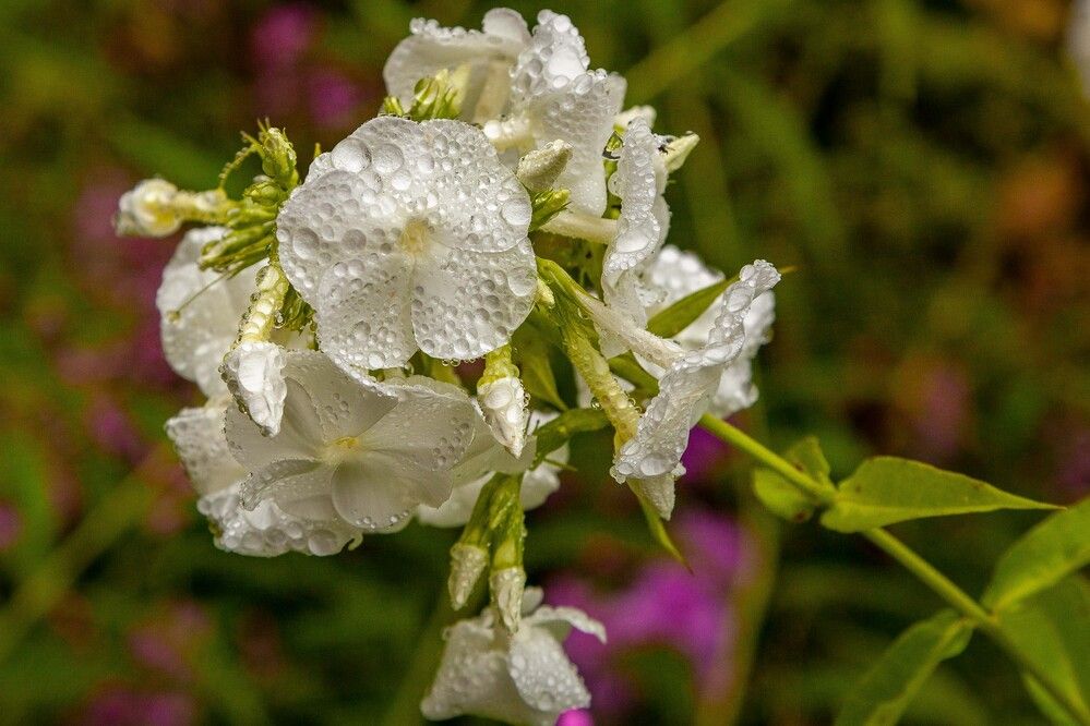 Photograph by Владислав Лопатов