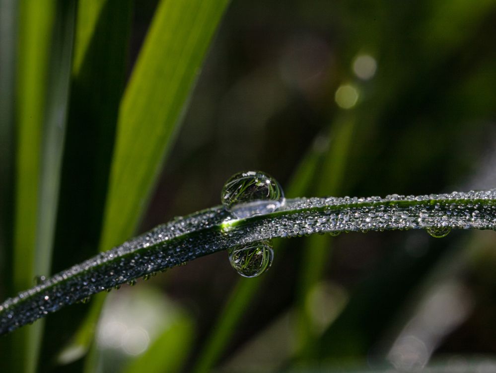 Фотография автора Ирина Гриценко