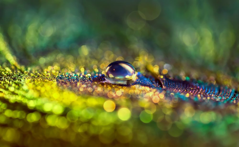 Photograph by Тараненко Анжелика