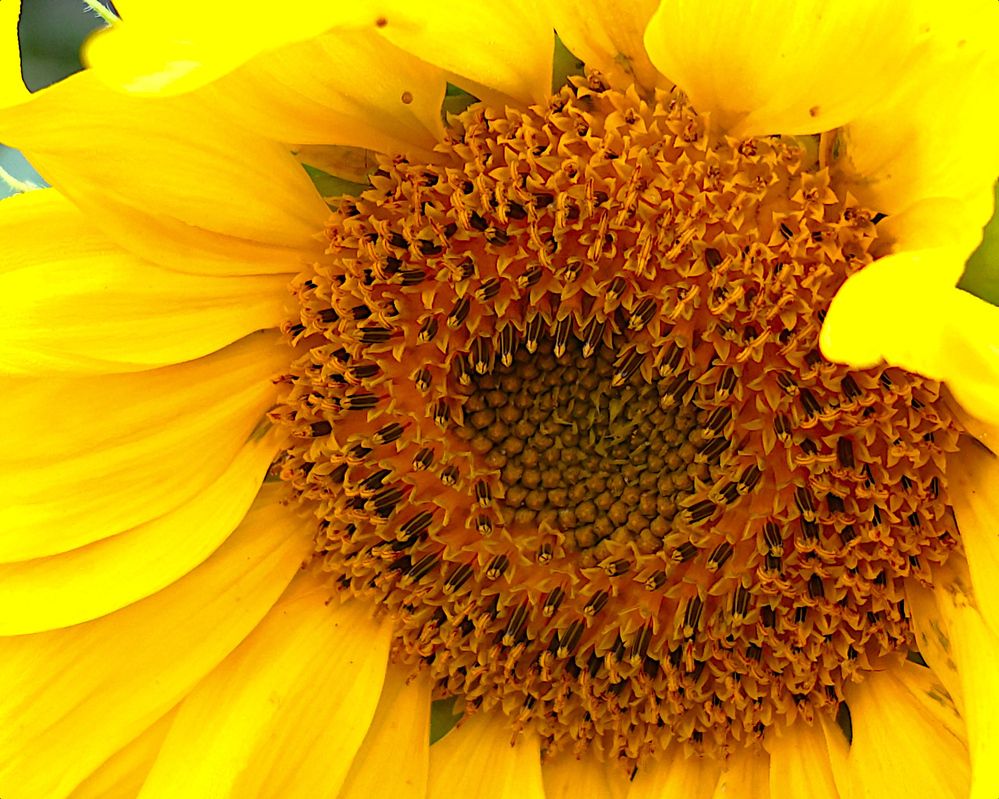 Photograph by Гагик Саркисян