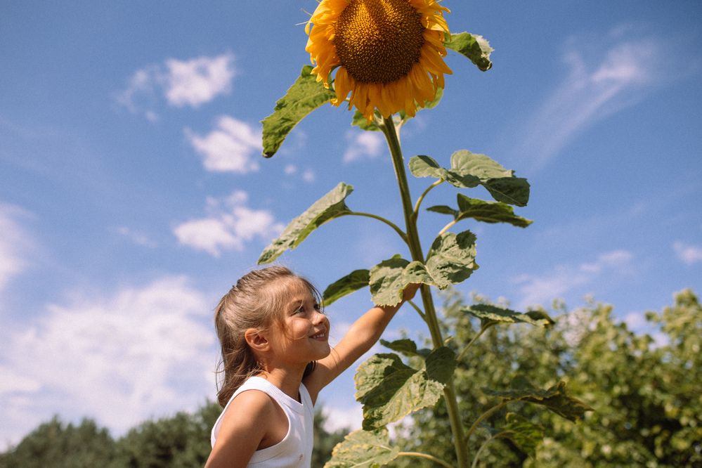 Photograph by Валерия Ефименко