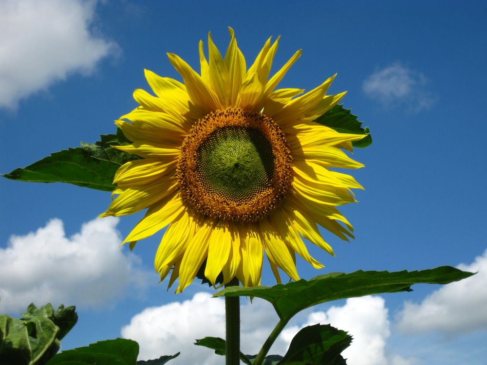 Photograph by Елена Смирнова