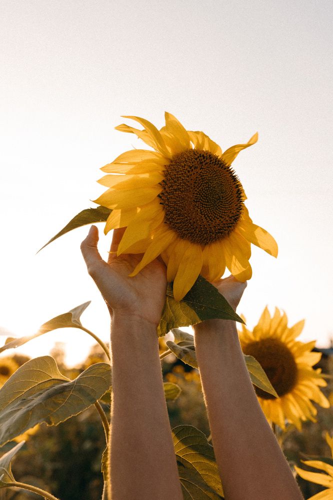 Photograph by Валерия Ефименко