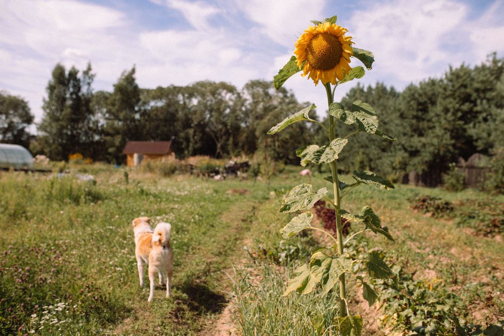 Photograph by Валерия Ефименко
