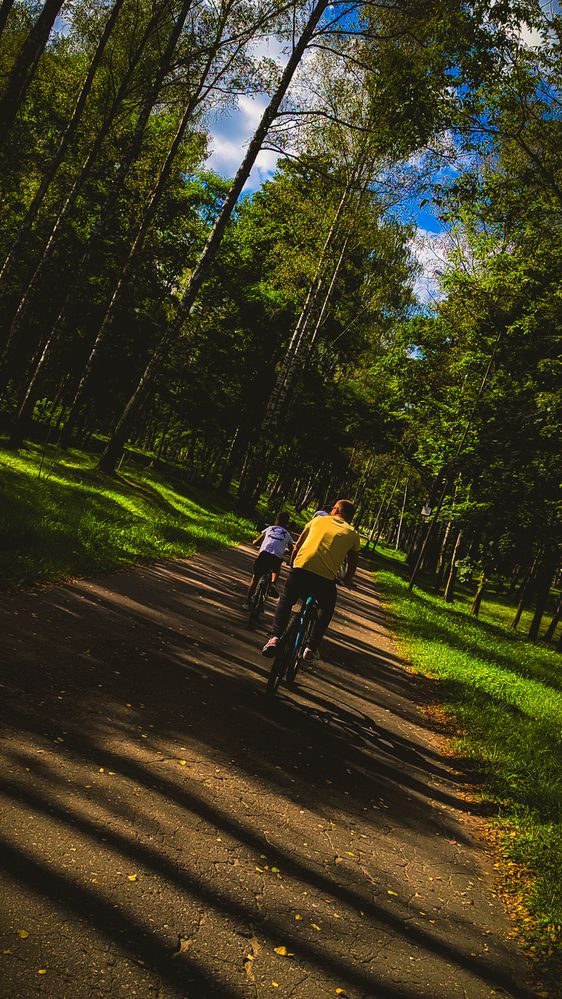 Семейная велопрогулка