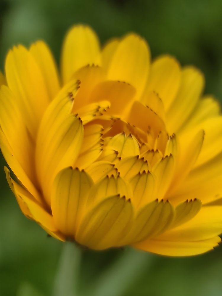 Photograph by Анастасия Доронкина