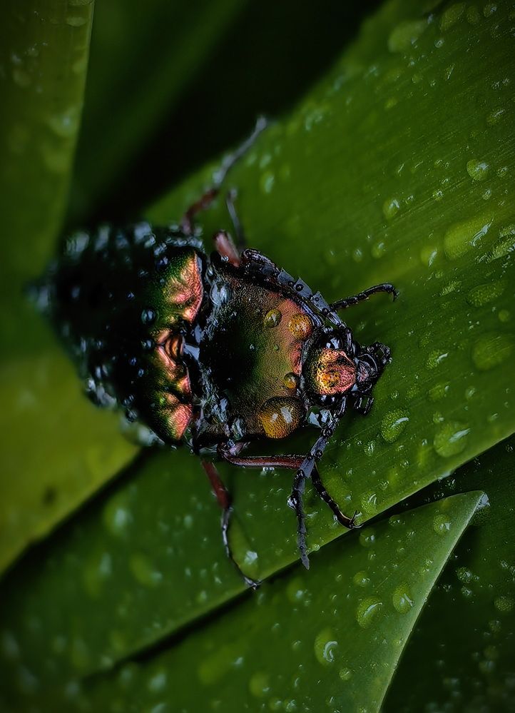 Photograph by Кристина Феминова