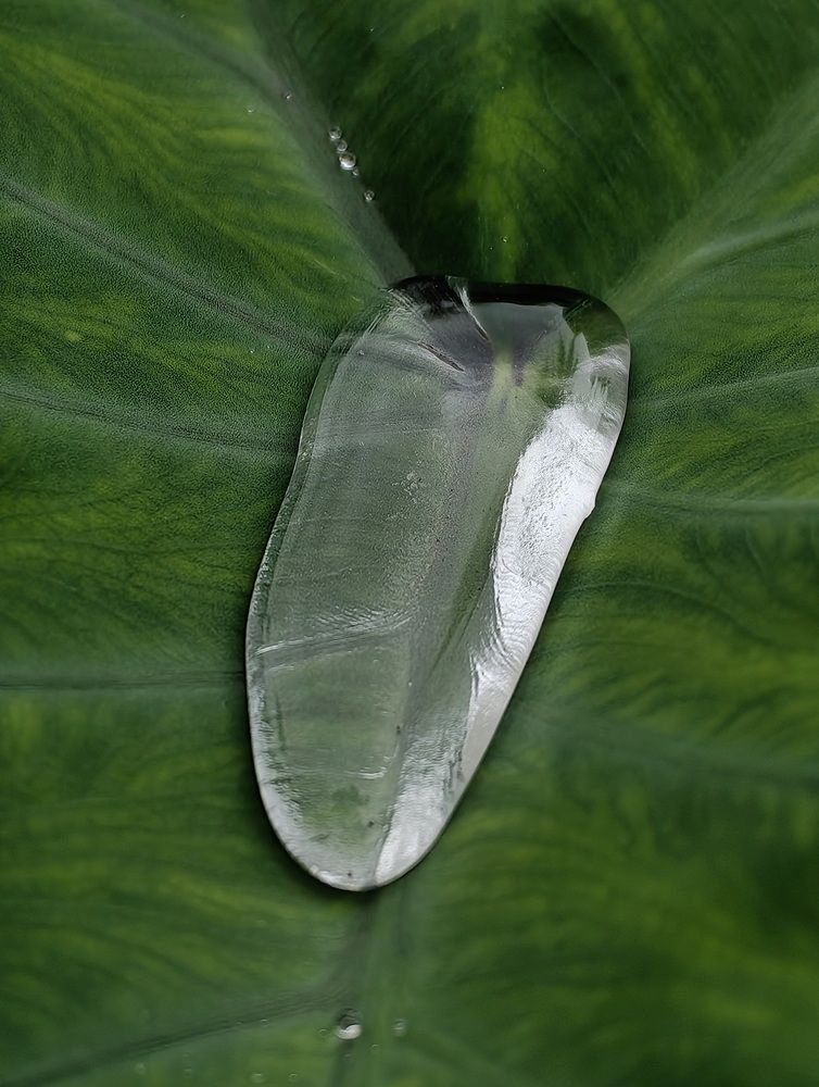 Photograph by Кристина Феминова