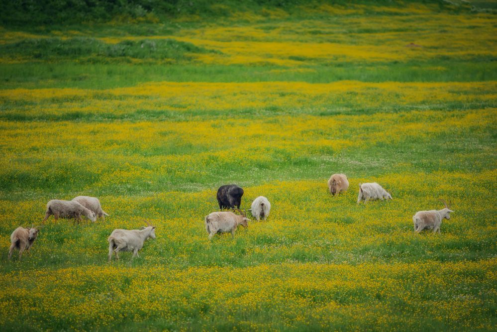 Фотография автора Константин Яковлев