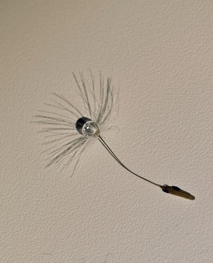 Photograph by Надежда Кангина