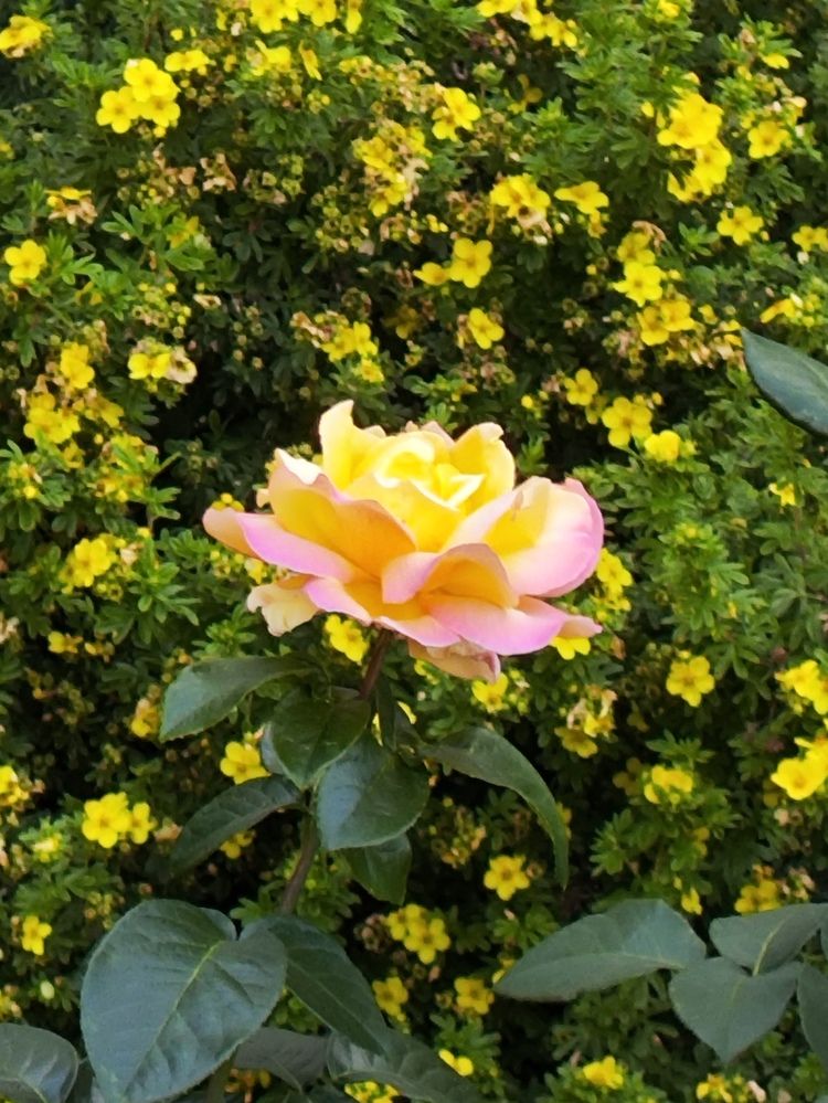 Photograph by Татьяна Пьянзина