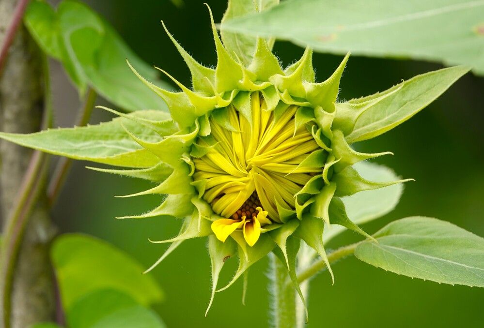 Photograph by Zakharov Matvey