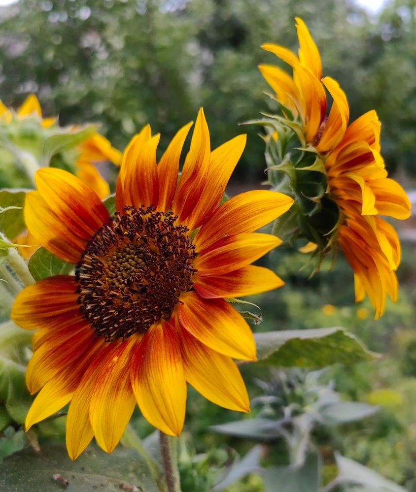Photograph by Ульяна Кузьмина