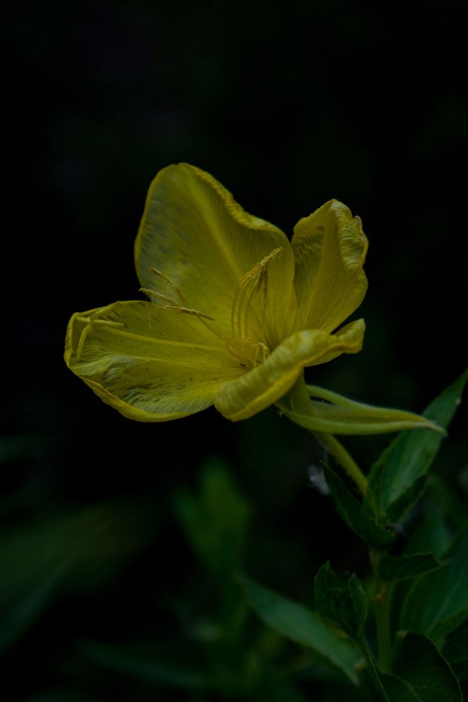 Photograph by zahra salardini