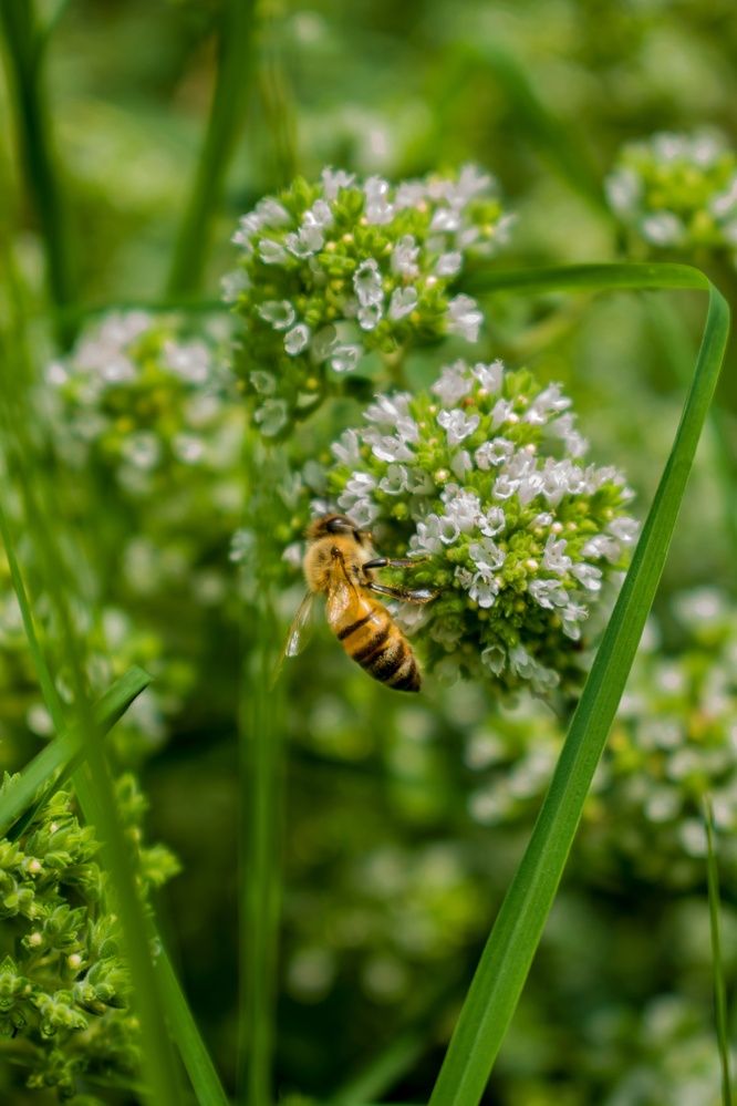 Photograph by zahra salardini