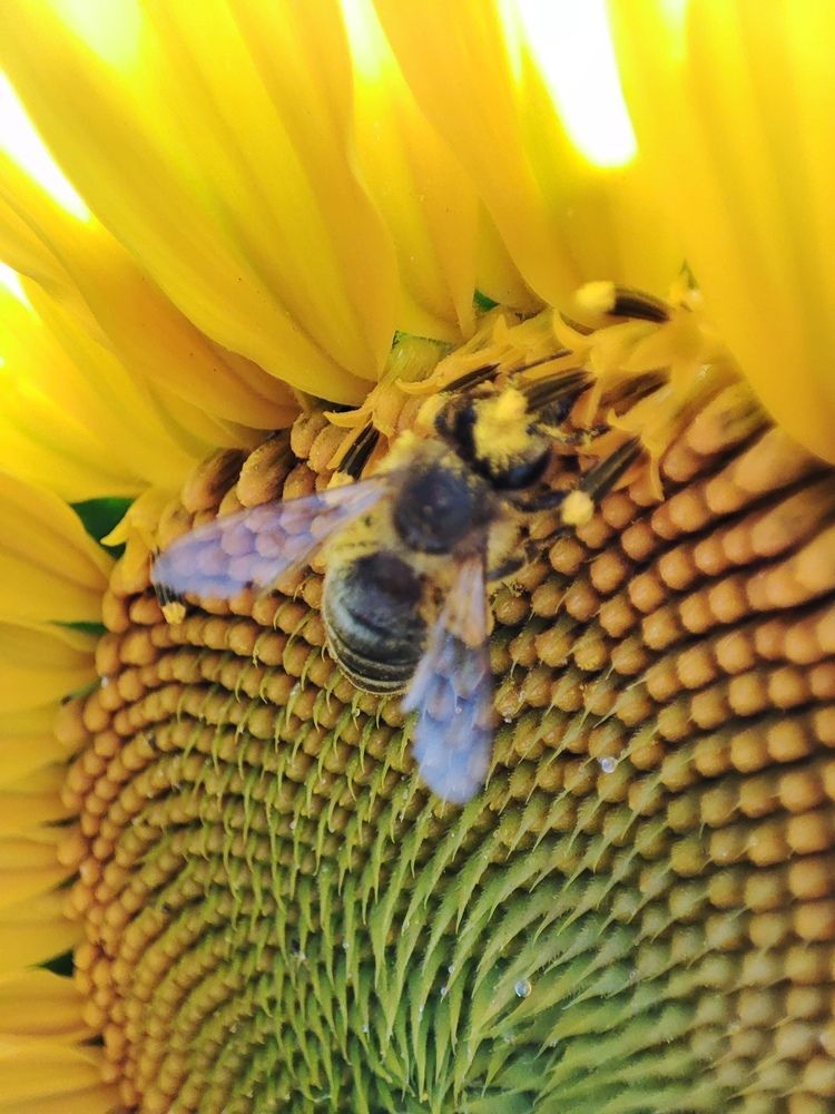 Photograph by Хоменчук Людмила