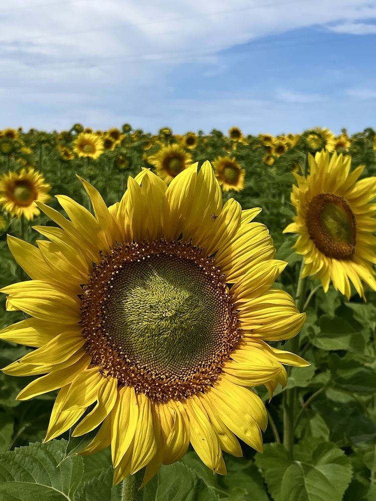 Photograph by Nadya Sterligova