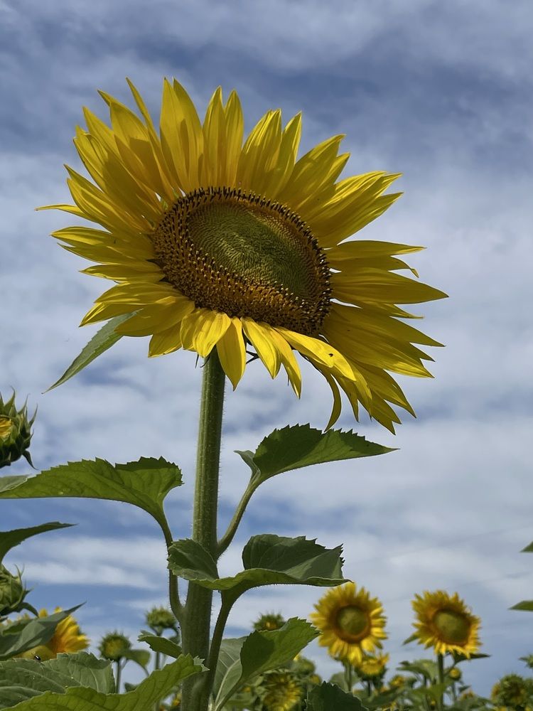 Photograph by Nadya Sterligova