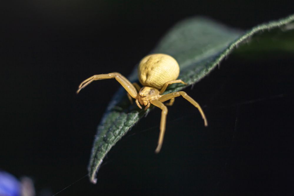 Photograph by Наталья Островцева