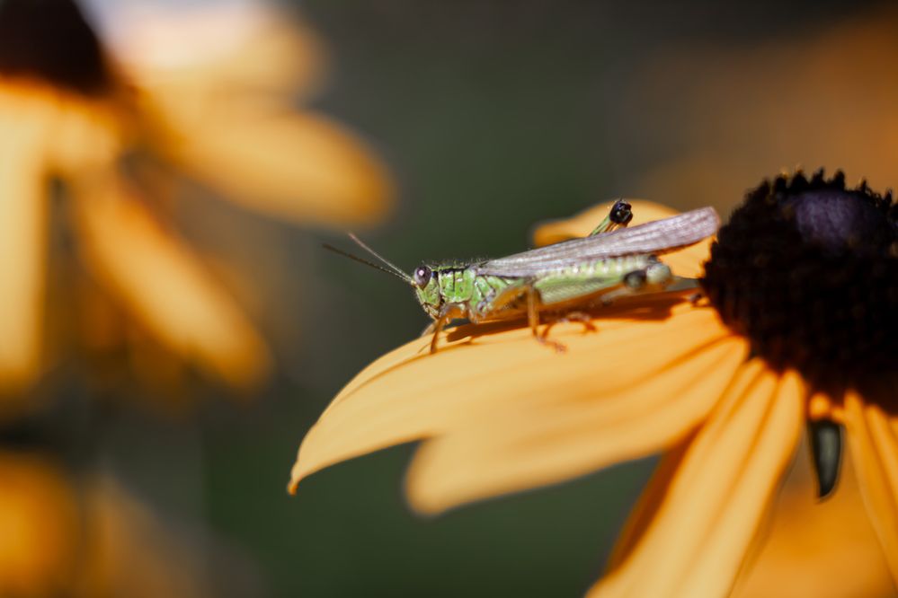 Photograph by Наталья Островцева