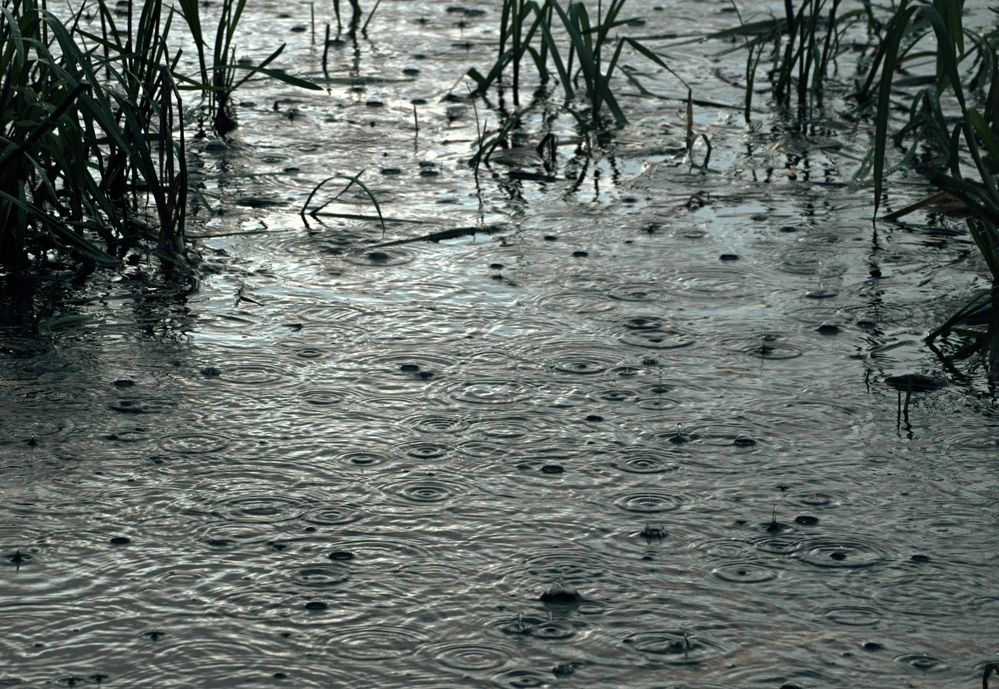 Дождь на озере