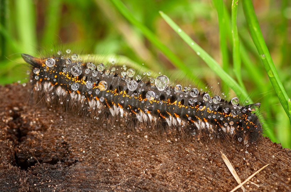 Photograph by Галина Юдина