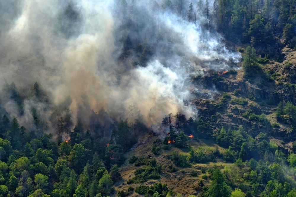 Photograph by Dmitry