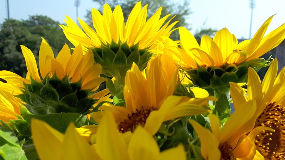 Photograph by Emil Zivanov