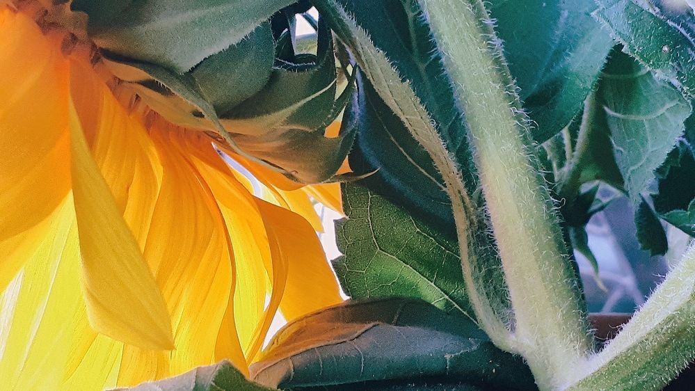 Photograph by Emil Zivanov