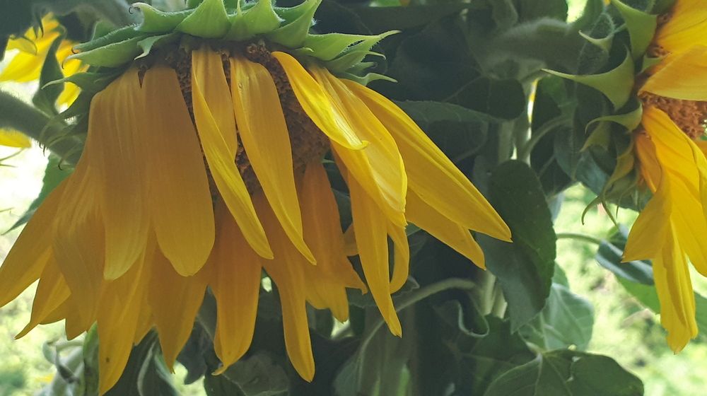 Photograph by Emil Zivanov