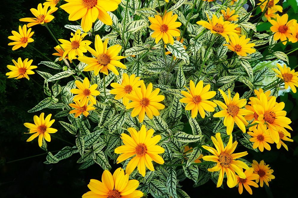 Photograph by Нина