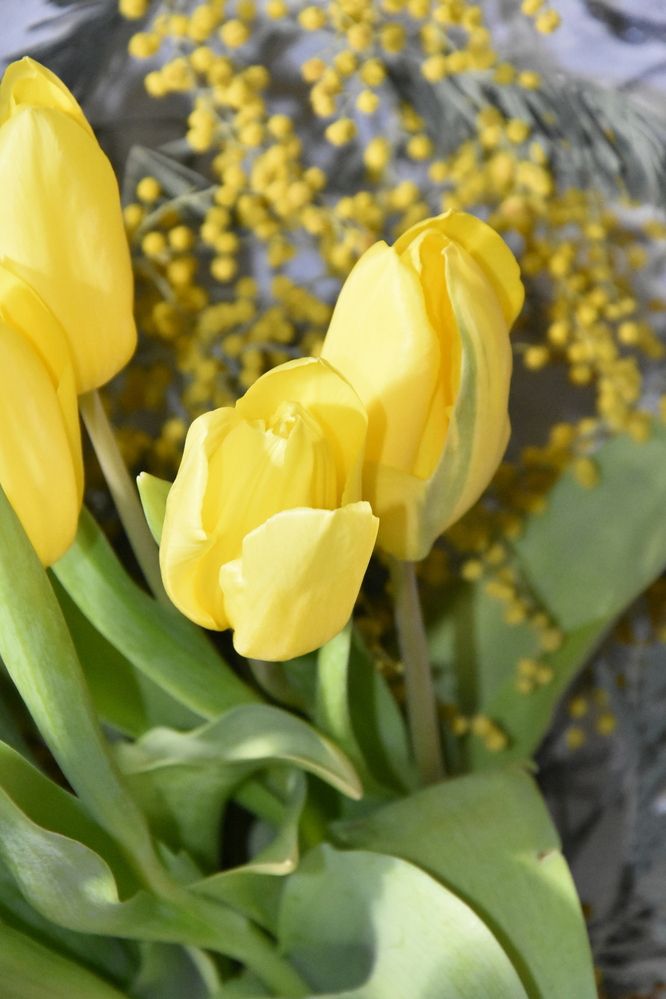 Photograph by Юлия Ю.