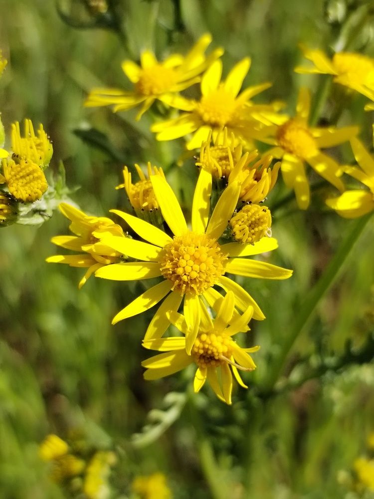 Photograph by Юлия Ю.