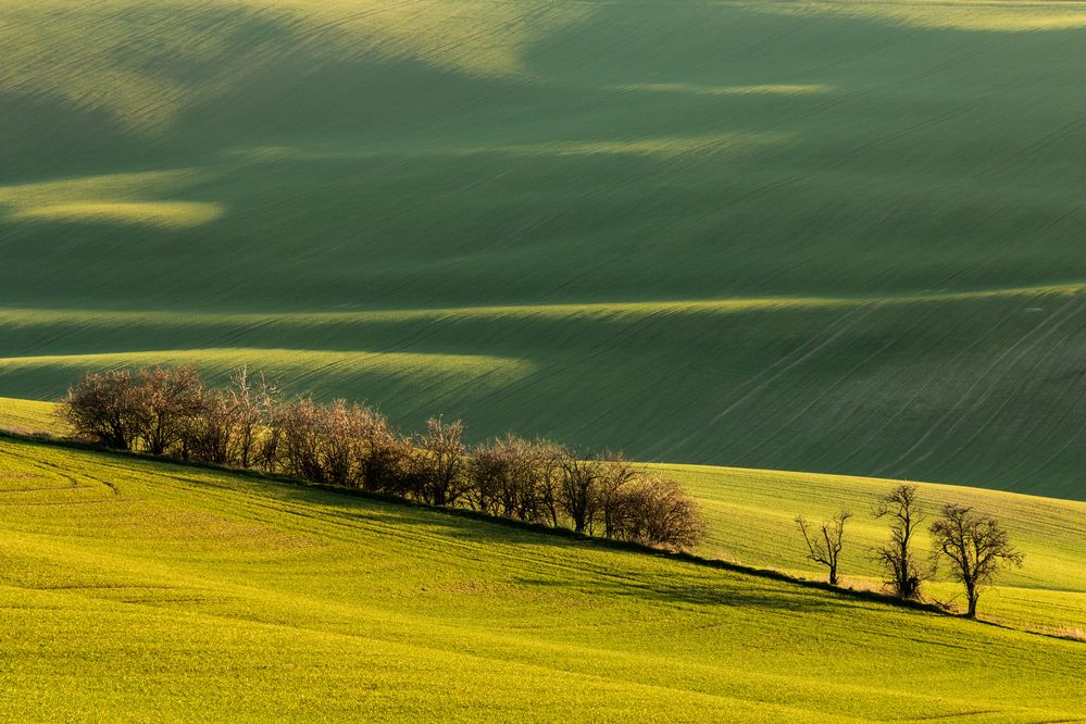 Photograph by Jiří Hakauf