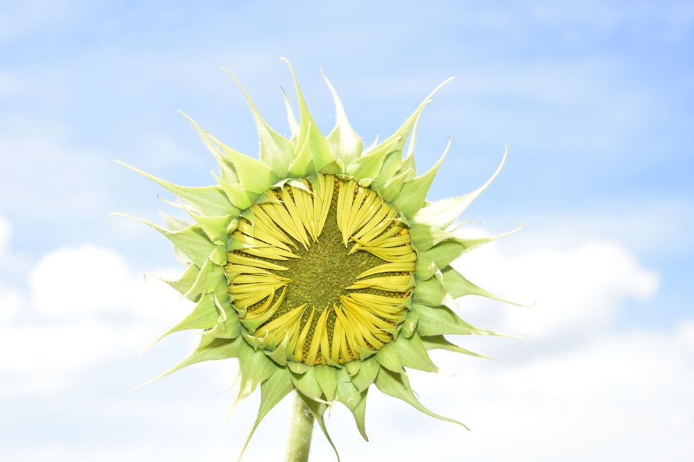 Photograph by Юлия Ю.