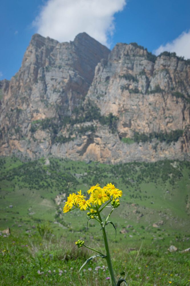 Фотография автора Оксана Белозерская