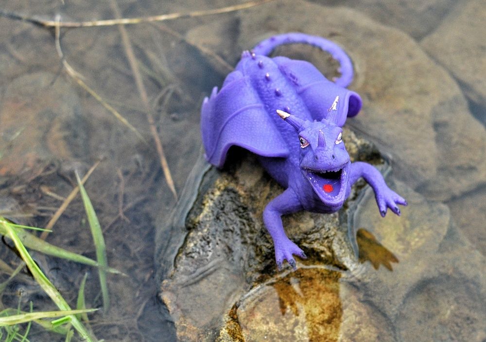 Фотография автора Ольга Жлоба